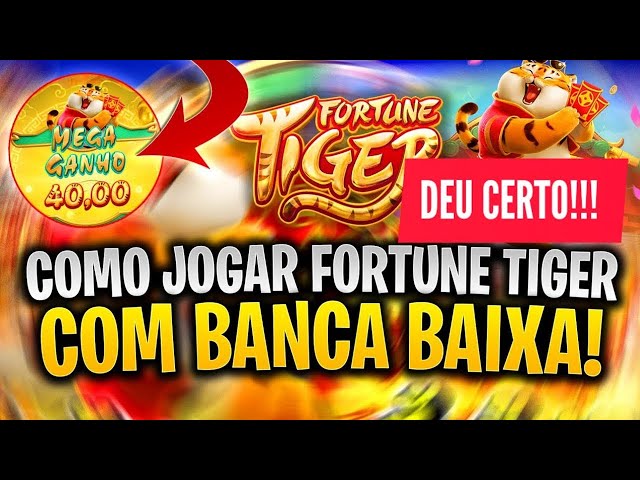 brasil casino imagem de tela 2